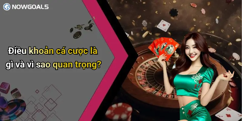 Điều khoản cá cược là gì và vì sao quan trọng?