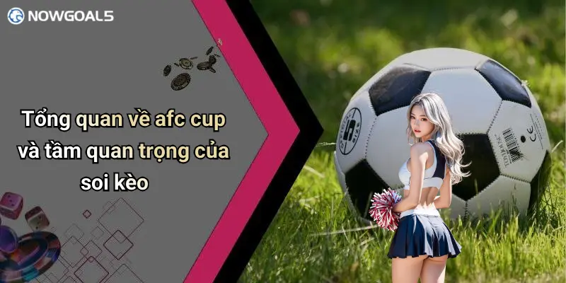 Tổng quan về afc cup và tầm quan trọng của soi kèo