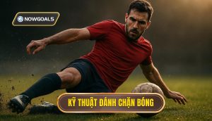 Kỹ thuật đánh chặn bóng