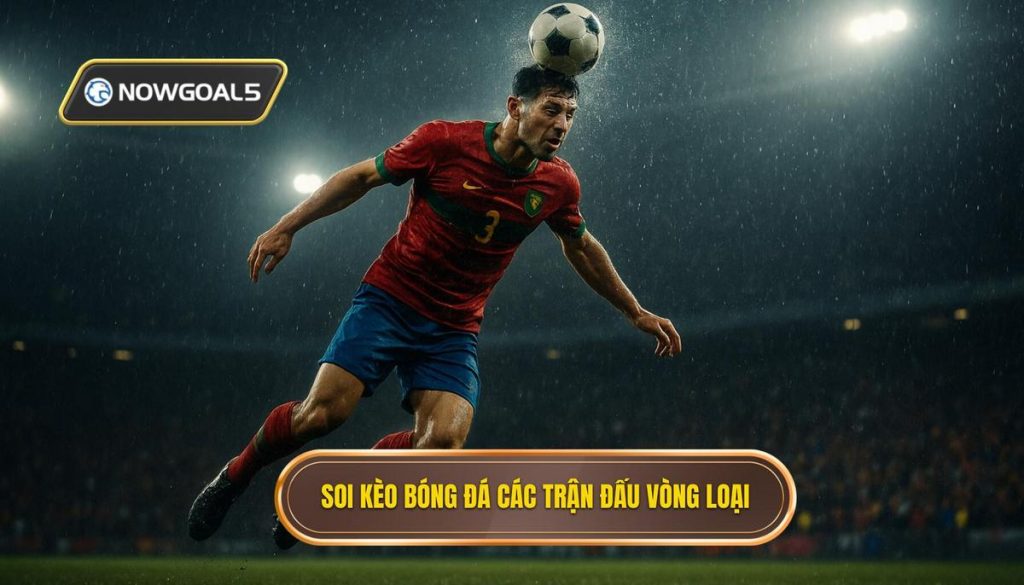 Soi kèo bóng đá các trận đấu vòng loại