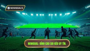 Trận cầu căng như dây đàn trên Nowgoal Live: Nghệ thuật theo dõi và phân tích bóng đá đỉnh cao