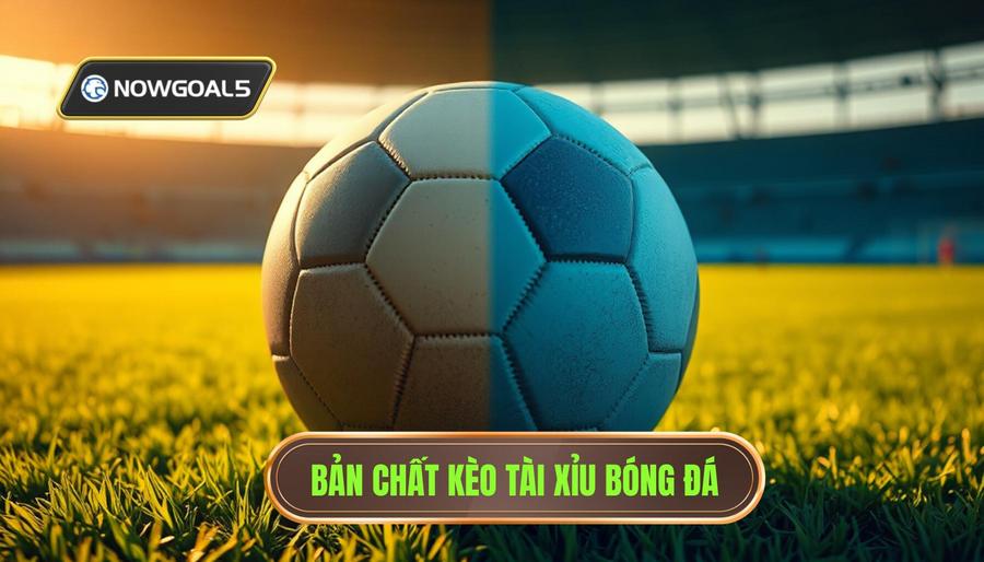 Hiểu bản chất của kèo Tài Xỉu trong bóng đá