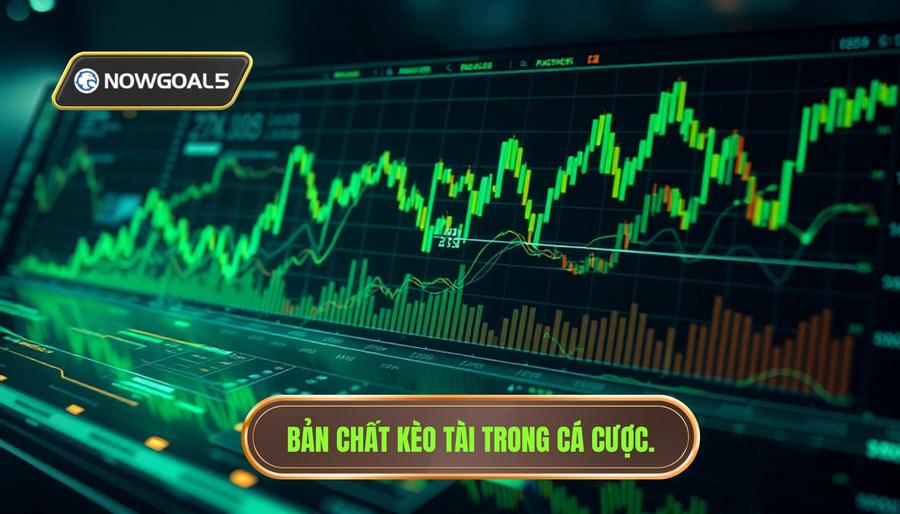 Hiểu rõ bản chất của kèo Tài trước khi đầu tư