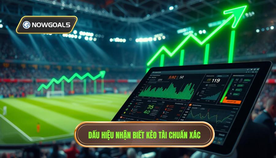 Các dấu hiệu nhận biết khi nào nên vào kèo tài