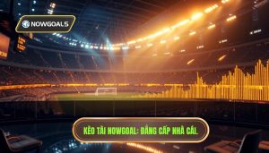 Khi nào nên vào kèo tài? Bí kíp soi kèo từ chuyên gia NOWGOAL